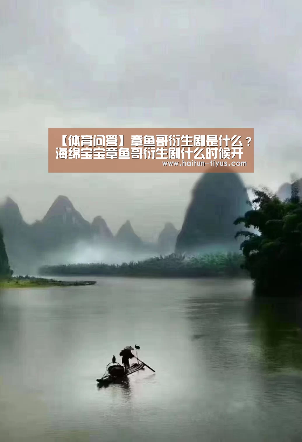 【体育问答】章鱼哥衍生剧是什么？海绵宝宝章鱼哥衍生剧什么时候开拍