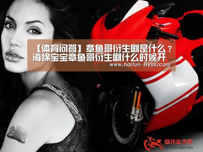 体育赛事